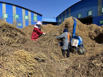 鑫磊生物科技:农作物秸秆综合利用 打造绿色生态循环发展模式